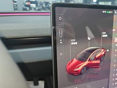 Tesla Model 3 2023 Rear-Wheel Drive - ფოტო 14