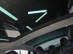 Tesla Model 3 2023 Rear-Wheel Drive - ფოტო 18
