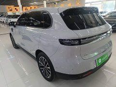 Leapmotor B10 510 Pleasure Edition - ფოტო 5
