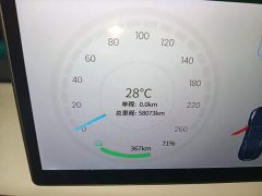Tesla Model Y Performance All-Wheel Drive - ფოტო 12