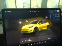Tesla Model Y Performance All-Wheel Drive - ფოტო 13