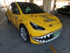 Tesla Model Y Performance All-Wheel Drive - ფოტო 4