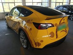 Tesla Model Y Performance All-Wheel Drive - ფოტო 5