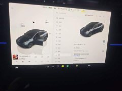 Tesla Model Y 2024 Rear-Wheel Drive - ფოტო 12