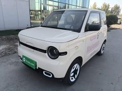 Geely Panda Mini 210km Vitality Edition - ფოტო 1