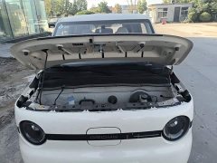 Geely Panda Mini 210km Vitality Edition - ფოტო 20