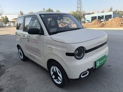 Geely Panda Mini 210km Vitality Edition - ფოტო 4
