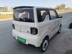 Geely Panda Mini 210km Vitality Edition - ფოტო 7
