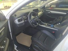 Geely Emgrand X6 2020 1.4T CVT Luxury - ფოტო 16
