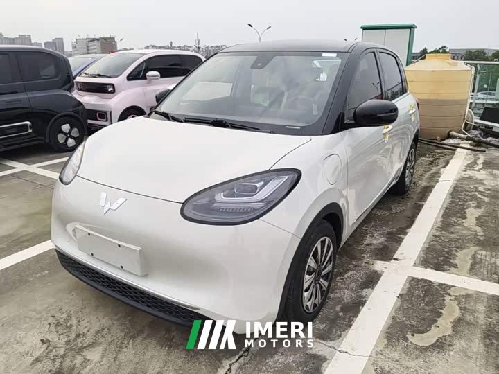 Wuling Binguo 333km Lingxi Connected Plus
