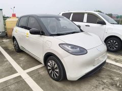 Wuling Binguo 333km Lingxi Connected Plus - ფოტო 4