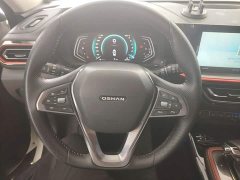 Changan Oushan X5 1.5T DCT Premier - ფოტო 11
