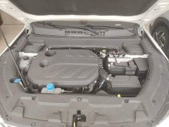 Changan Oushan X5 1.5T DCT Premier - ფოტო 20
