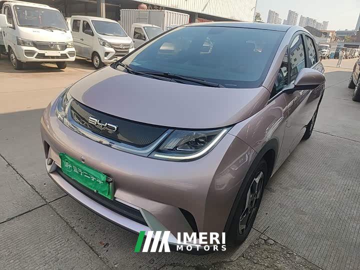 BYD Dolphin 405km Freedom Edition