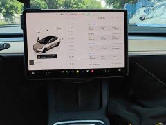 Tesla Model 3 Rear-Wheel Drive - ფოტო 13