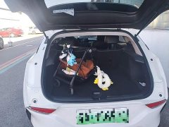 Buick Weilan 6 Connected Sharing Plus - ფოტო 19