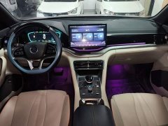 BYD Song Plus New Energy 2021 DM-i 110KM Flagship Plus - ფოტო 10