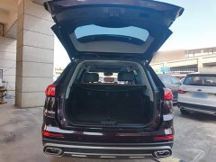 Chery Tiggo 8 PLUS 290TGDI DCT Luxury Edition - ფოტო 19
