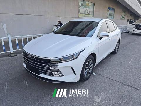 2023 BYD Destroyer 05 Champion Edition DM-i 55KM Luxury