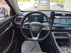 BYD Destroyer 05 Champion Edition DM-i 55KM Luxury - ფოტო 11