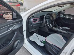 BYD Destroyer 05 Champion Edition DM-i 55KM Luxury - ფოტო 16