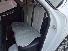 BYD Destroyer 05 Champion Edition DM-i 55KM Luxury - ფოტო 17