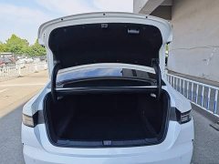 BYD Destroyer 05 Champion Edition DM-i 55KM Luxury - ფოტო 19