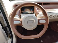 FAW Besturn Xiaoma 222km Agile Edition - ფოტო 11