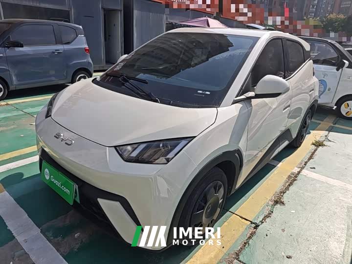 BYD Seagull Glory Edition 305km Vitality Version - ავტომობილი ჩინეთიდან