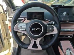 BYD Seagull Glory Edition 305km Vitality Version - ფოტო 11