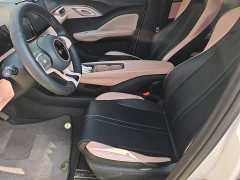 BYD Seagull Glory Edition 305km Vitality Version - ფოტო 15
