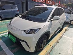 BYD Seagull Glory Edition 305km Vitality Version - ფოტო 2