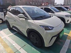 BYD Seagull Glory Edition 305km Vitality Version - ფოტო 4
