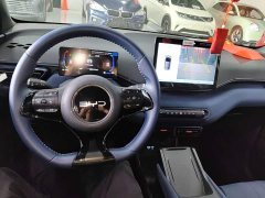 BYD Seagull Glory Edition 305km Freedom Version - ფოტო 10