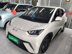 BYD Seagull Glory Edition 305km Freedom Version - ფოტო 2
