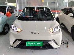 BYD Seagull Glory Edition 305km Freedom Version - ფოტო 3
