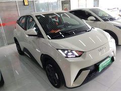 BYD Seagull Glory Edition 305km Freedom Version - ფოტო 4