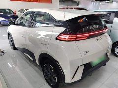 BYD Seagull Glory Edition 305km Freedom Version - ფოტო 5