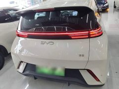 BYD Seagull Glory Edition 305km Freedom Version - ფოტო 6