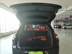 Li Auto L6 Pro Smart Refresh Edition - ფოტო 19