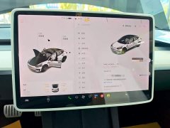 Tesla Model 3 Facelift Performance All-Wheel Drive 3D1 - ფოტო 12