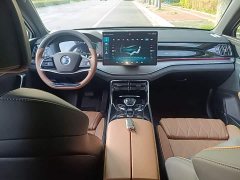 BYD Tang New Energy DM-i 112KM Premium Edition - ფოტო 10