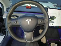 Tesla Model 3 Standard Range RWD Upgrade - ფოტო 11