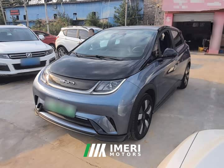 BYD Dolphin 401km Knight Edition - ავტომობილი ჩინეთიდან