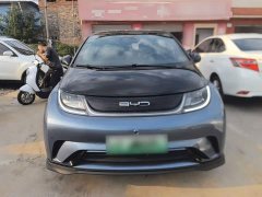 BYD Dolphin 401km Knight Edition - ფოტო 3
