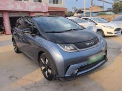 BYD Dolphin 401km Knight Edition - ფოტო 4