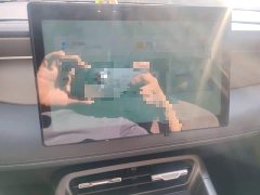 BYD Qin PLUS DM-i Smart Drive Edition 55KM Leading - ფოტო 6