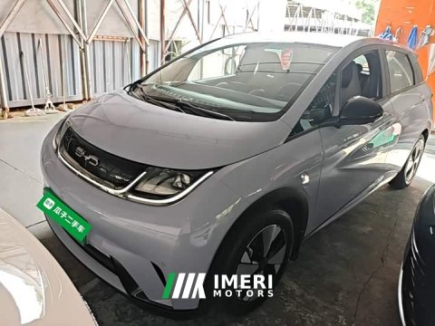 2023 BYD Dolphin 420km Fashion Edition - ავტომობილი ჩინეთიდან