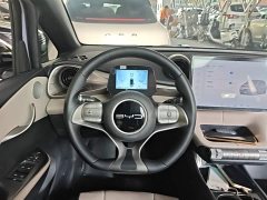 BYD Dolphin 420km Fashion Edition - ფოტო 11