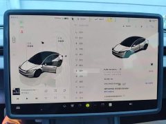 Tesla Model 3 2023 Long Range All-Wheel Drive - ფოტო 13